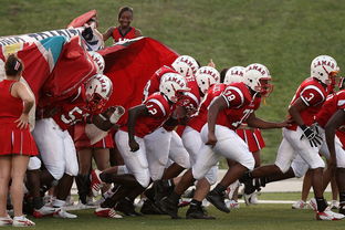 mk体育在线下载-印度继续保持连胜，主帅称尚未满足，印度21人对战数万人