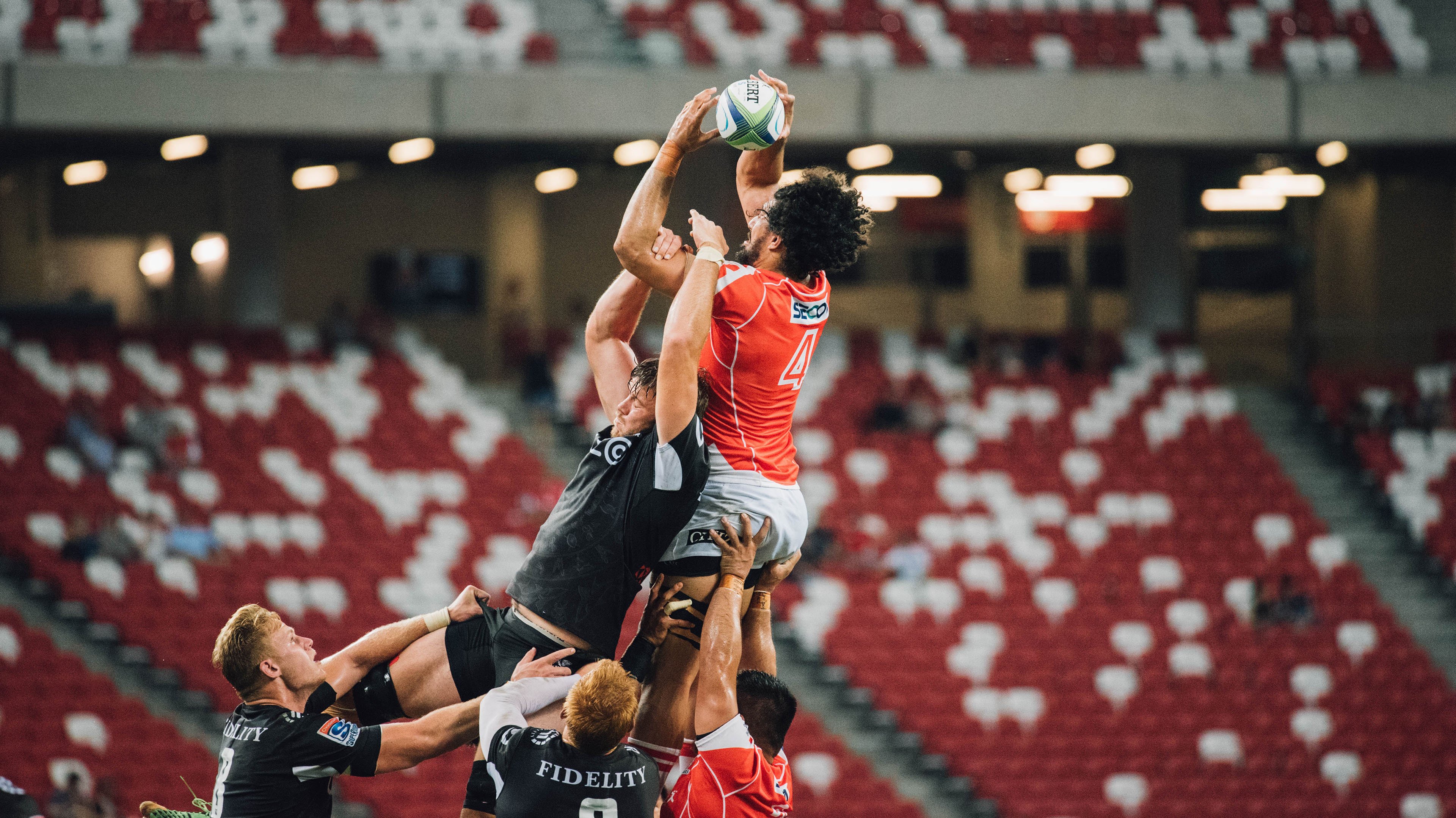 mk体育-多米尼加传统武术运动持续火热，多米尼加是个怎样的国家